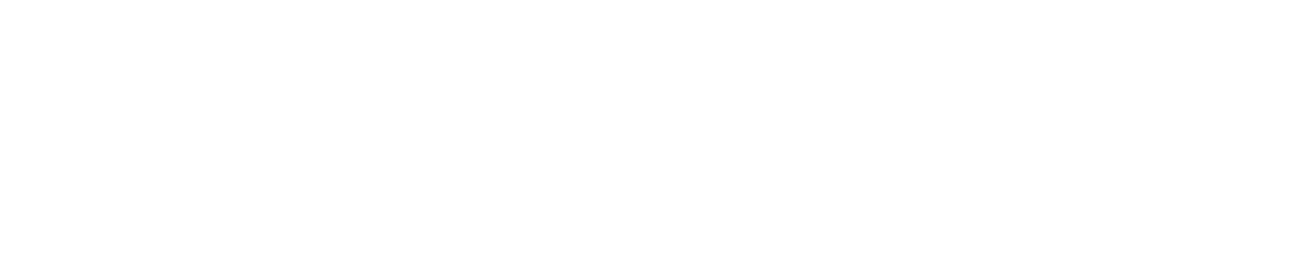 Dalla Logo white
